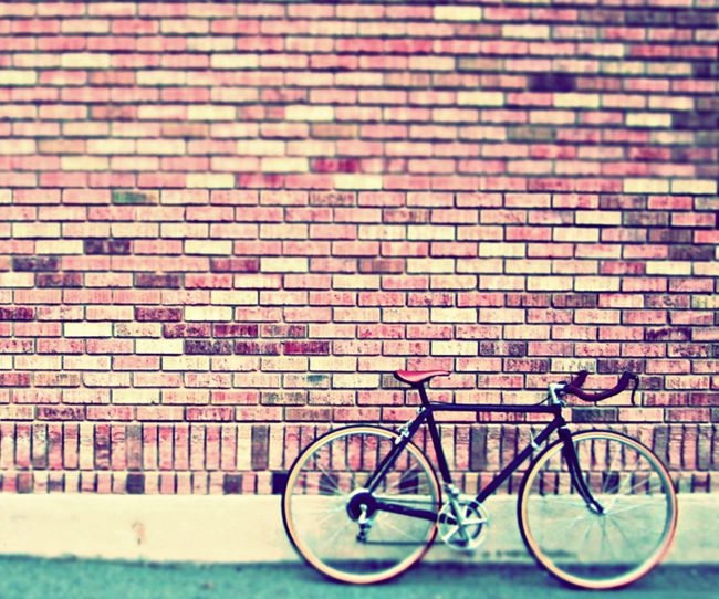 骑着自行车 旅行在充满爱的世界里