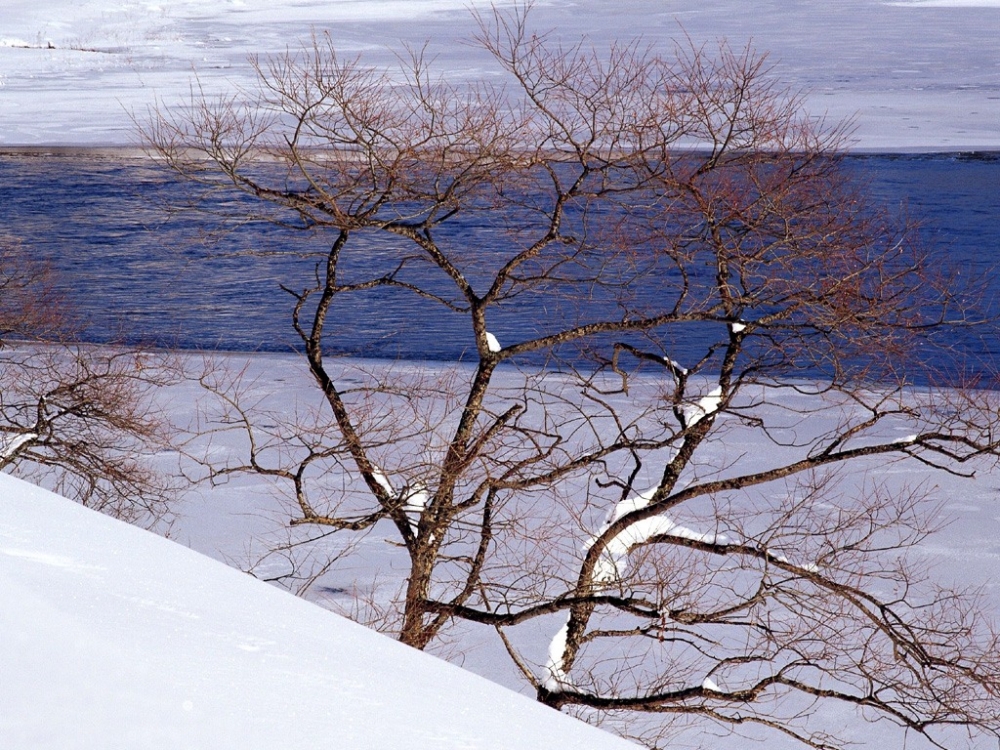 雪中写真 第一辑