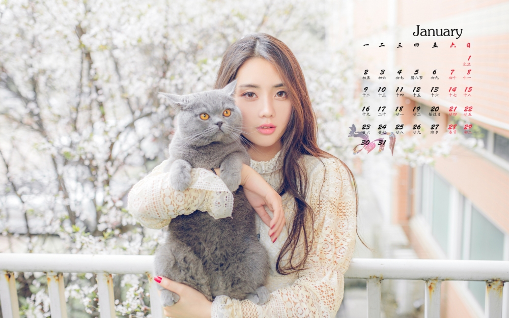 2017年1月气质文艺美女高清日历壁纸