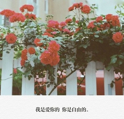 靠近你觉得很安心，喜欢你爱笑的眼睛