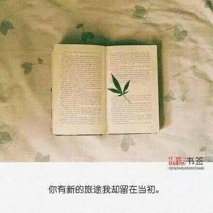 若有朝一日无处可去，不妨归来，把