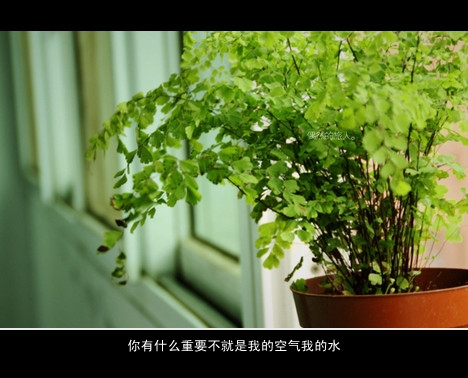 说太多不如沉默，想太多我会难过
