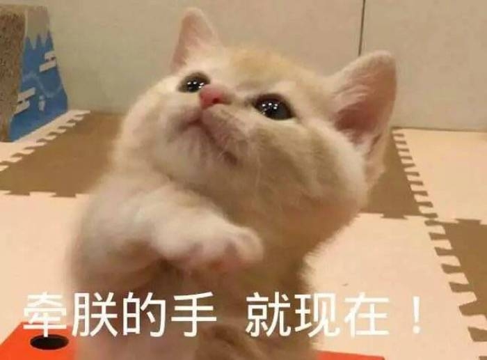 可爱到爆的软妹表情包lll林十一