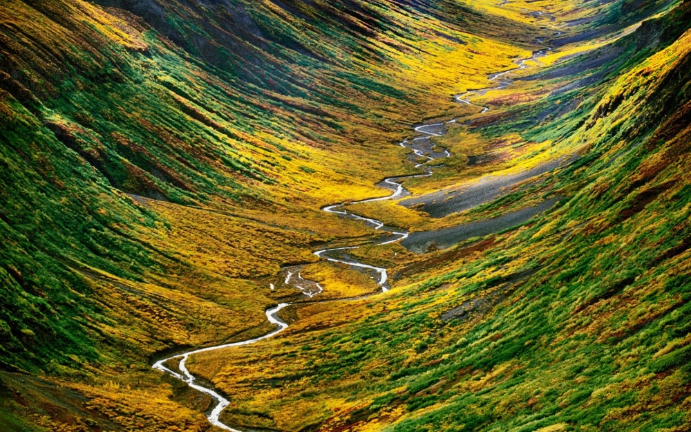 美国阿拉斯加峡谷溪流风景桌面壁纸