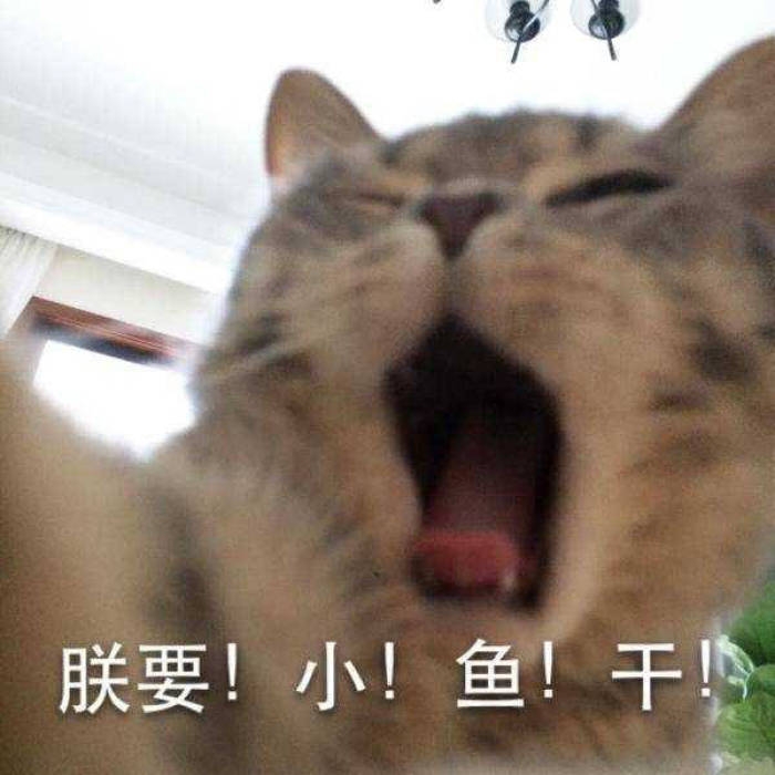 可爱到爆的软妹表情包lll林十一