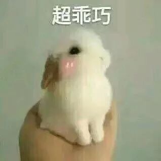 新鲜出炉的撩汉表情包ll 愿你喜