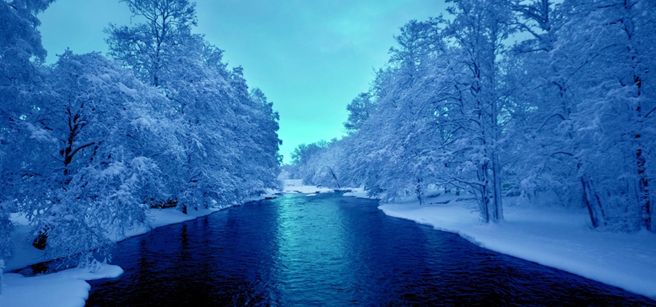 冬天,雪,树木,河流,天空,风景桌面壁纸