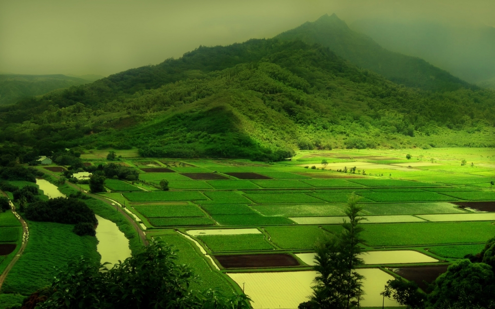 高清护眼桌面风景壁纸