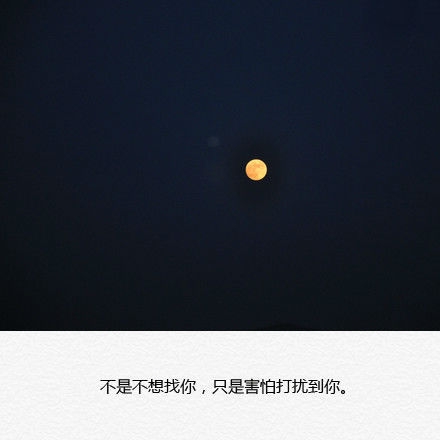 你不懂我的装腔作势，以为那就是坚强的我