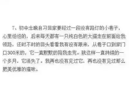 有那么一件小事 让你觉得被这个世界温柔着