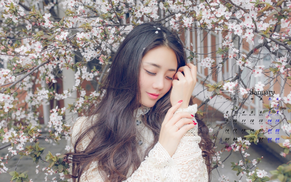 2017年1月气质文艺美女高清日历壁纸