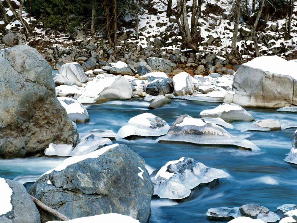 雪中写真 第一辑