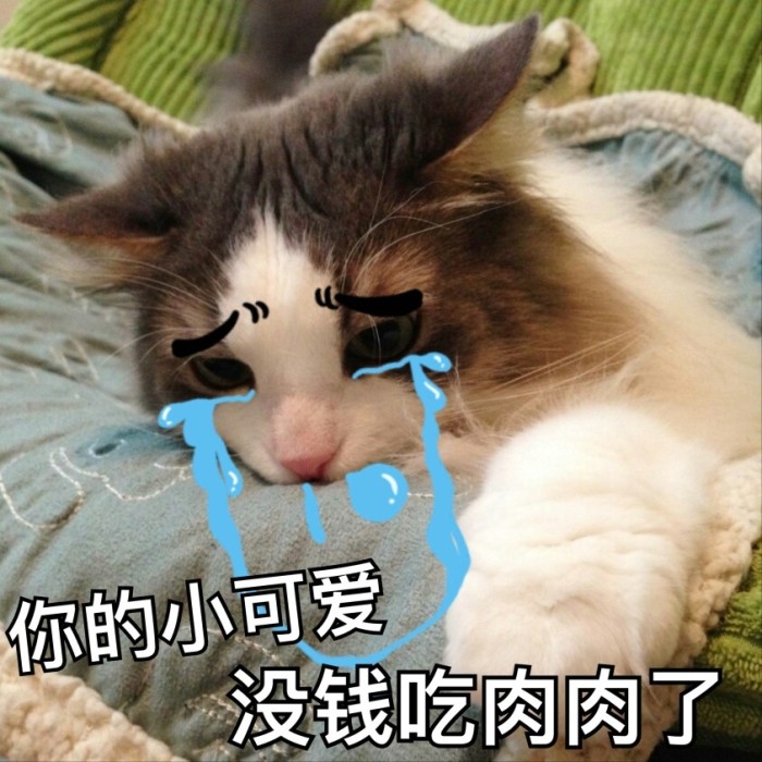 可爱到爆的软妹表情包lll林十一