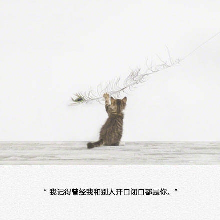 我走了以后，记得不要熬夜