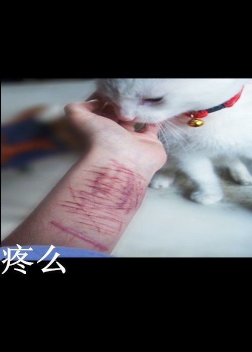 只要我还活着 就会让你只爱我这个人