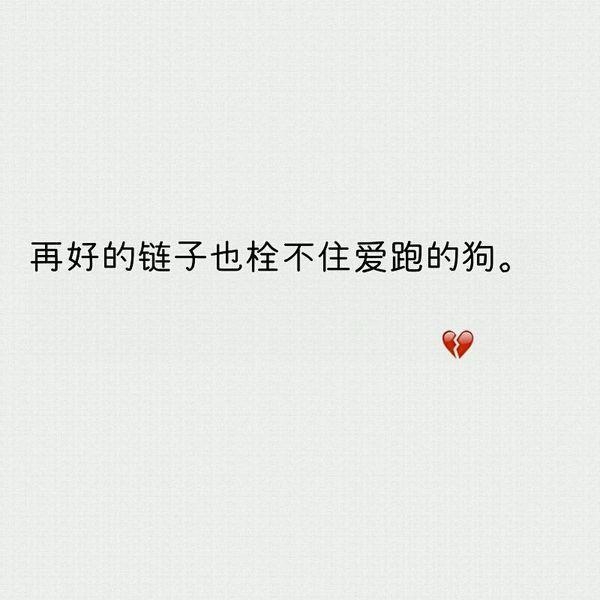 爱狗到杀狗