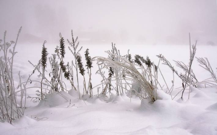 冬季雪景摄影电脑壁纸