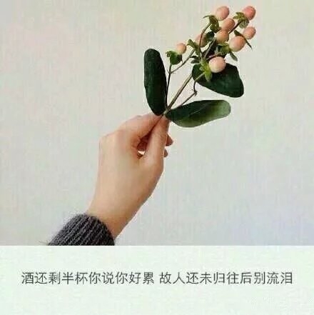 你一定是疯了，不然怎么舍得丢下我