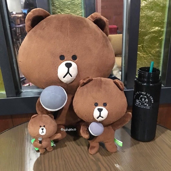 想把各式各样的布朗熊带回家