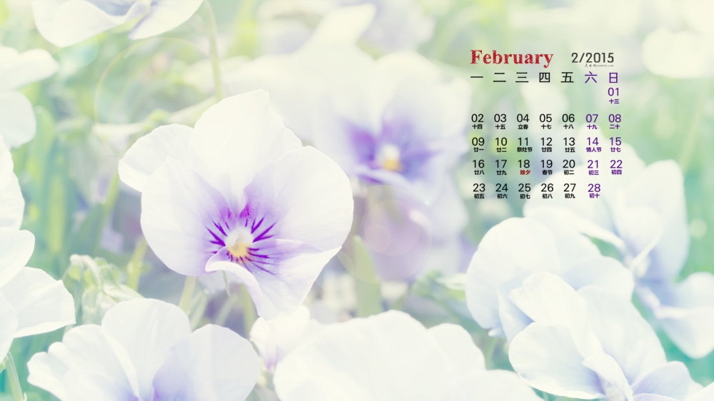2015年2月日历壁纸精选大自然唯美好看的鲜花素材图片下载