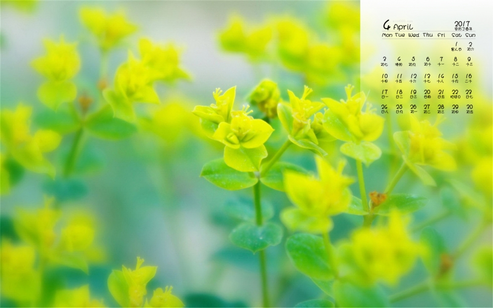 2017年4月小清新护眼风景日历壁纸