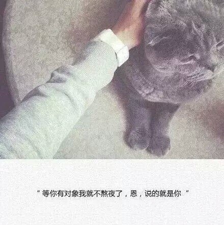 天冷了，你要外套，还是拥抱