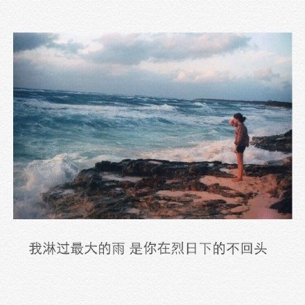 少了一种重要的情愫，疯狂也那么无助