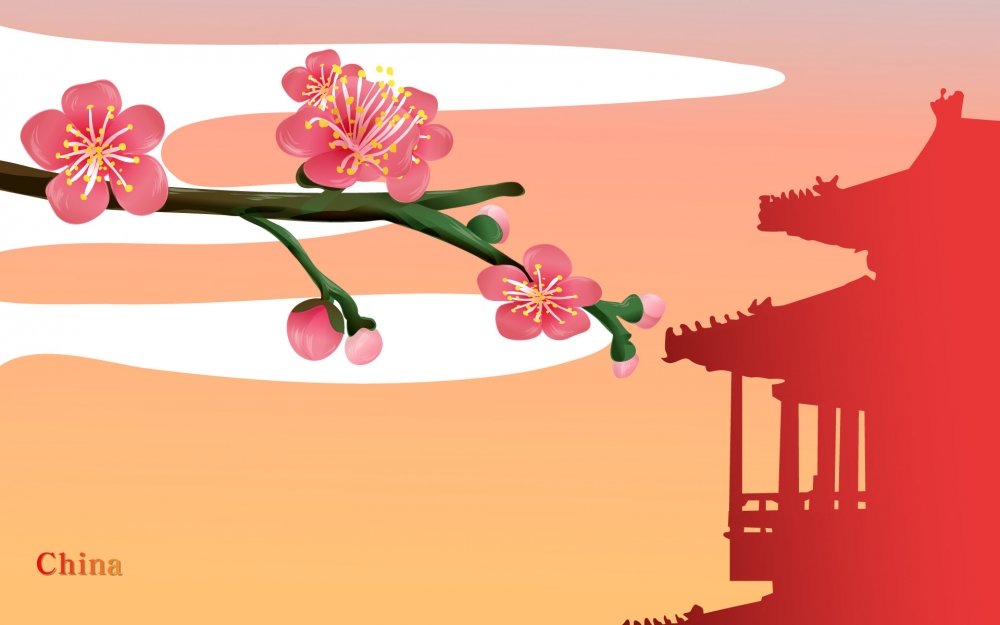 国家与鲜花 第二辑