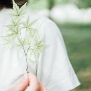 绿色清新简约静物非主流头像