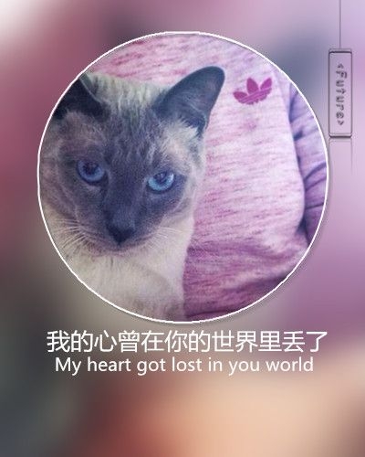 旧人旧梦旧情绪 带字图片
