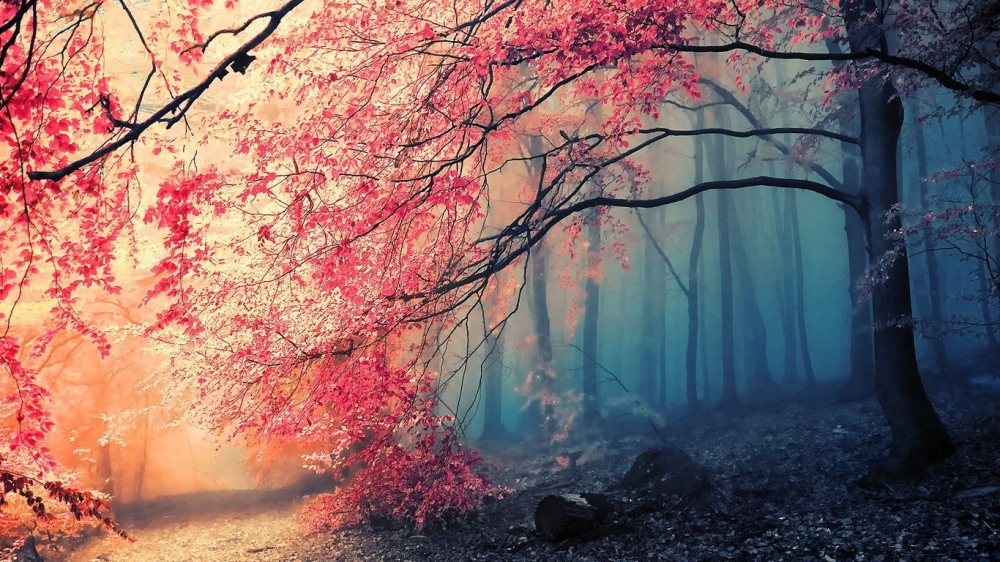 精选秋季日落黄昏的自然风景美图