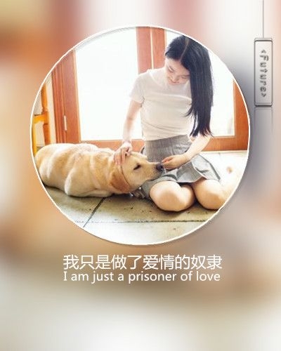 旧人旧梦旧情绪 带字图片