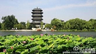 大明湖风景区唯美图片 还记得大明湖畔的夏雨荷吗