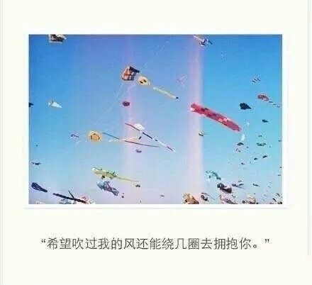我眼里有你不知道的风
