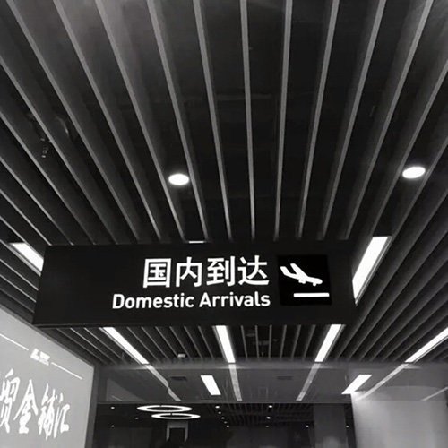 从没想过赢.