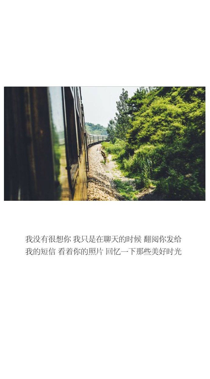 花儿、拥抱
