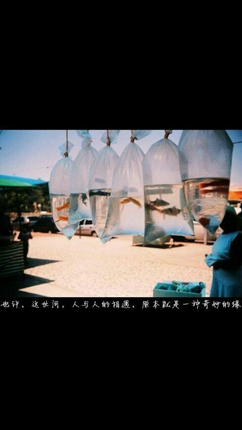 如果说再见，那就再也不见。