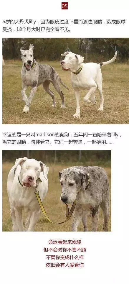 你知道吗， 有人在偷偷用心爱着你