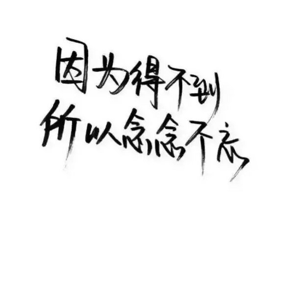 我努力了你没感动又有什么用