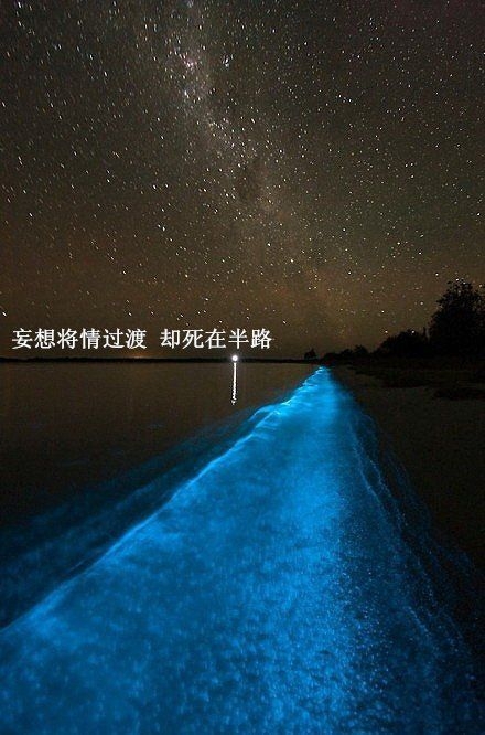 只要我还活着 就会让你只爱我这个人