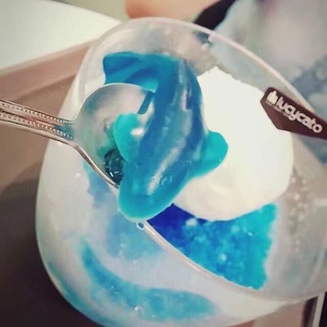超人气蓝色海豚刨冰