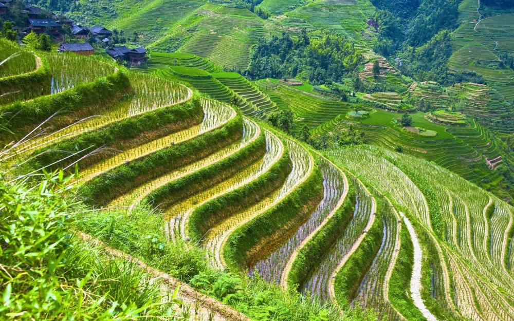 美丽的广西梯田高清风景壁纸