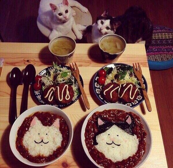 喵、