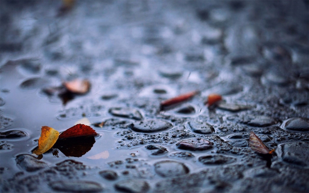清新夏日唯美雨景高清电脑桌面壁纸
