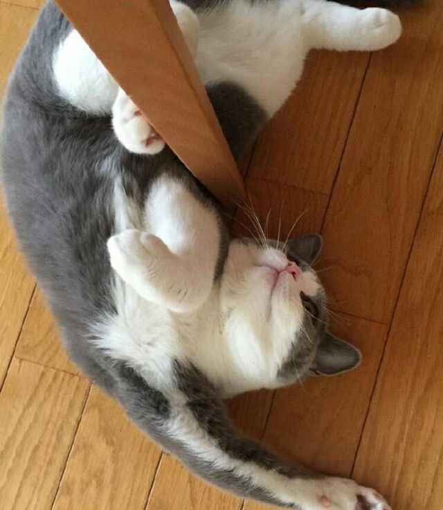 既然躺着了 就是要个性就是要自由 矜持有什么用
