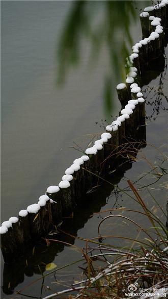 大明湖风景区唯美图片 还记得大明湖畔的夏雨荷吗