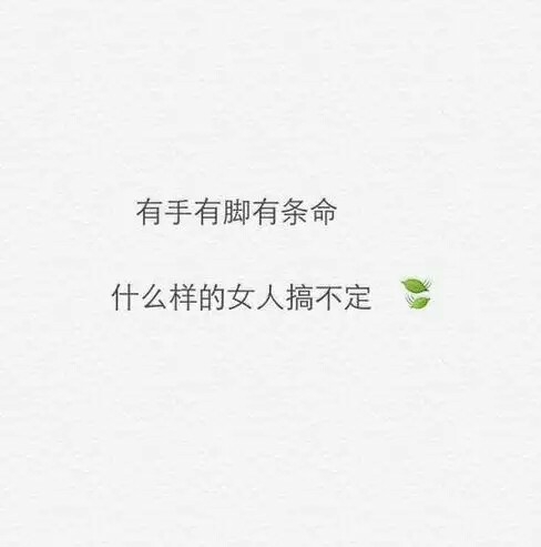 虽然你是个傻子但我还是很喜欢你