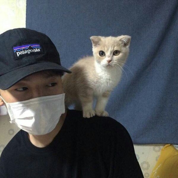 我想养只猫，再养个你，没事逗逗猫，再睡你！