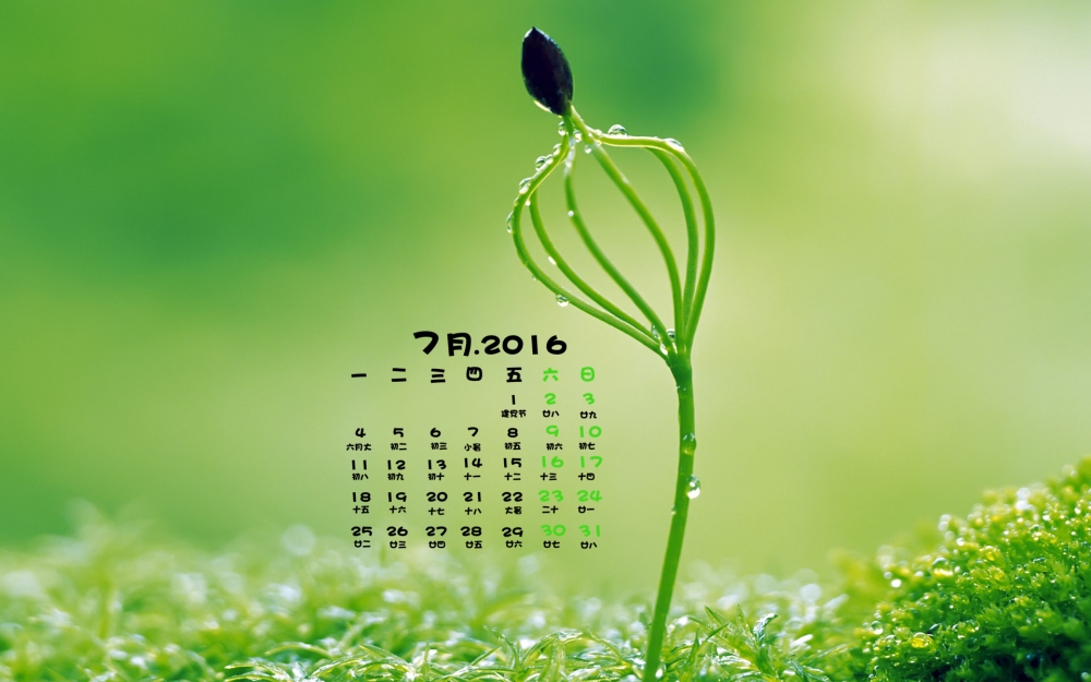 2016年7月日历新芽嫩叶高清绿色植物电脑桌面壁纸