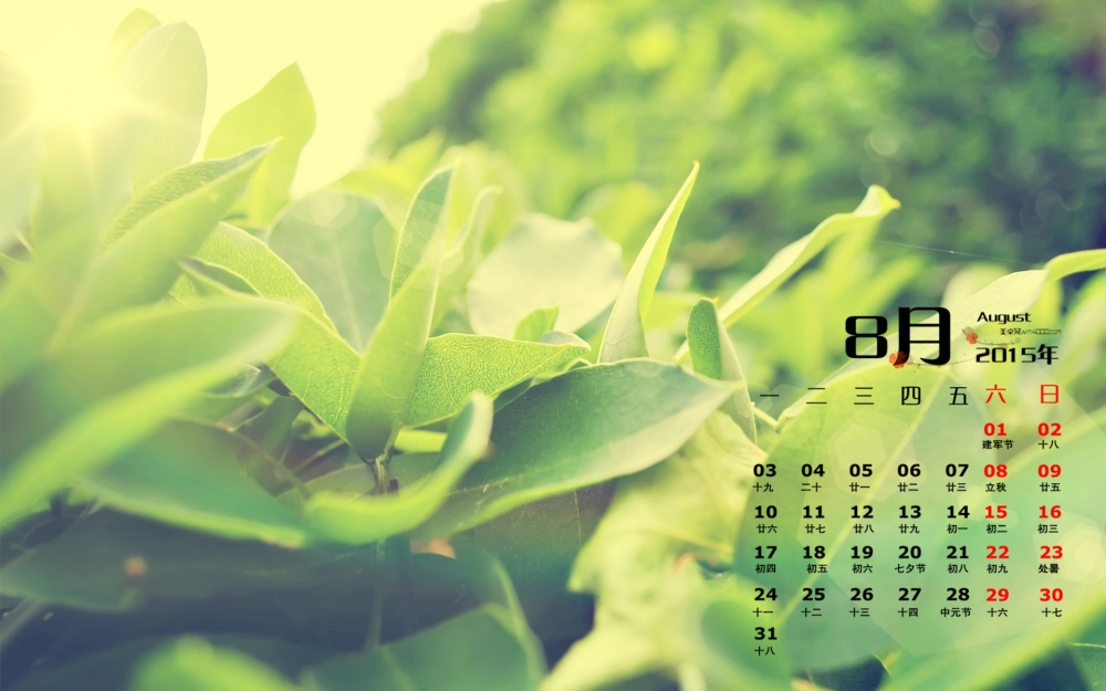 2015年8月日历春季绿叶特写桌面壁纸下载